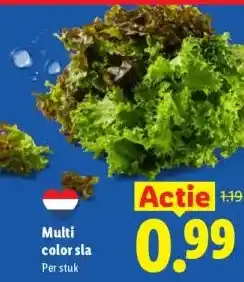 Lidl Multi color sla aanbieding