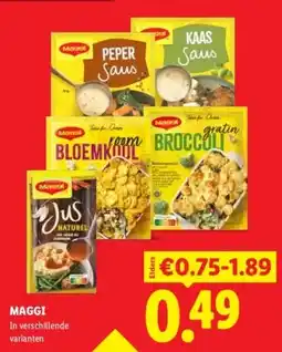 Lidl MAGGI aanbieding