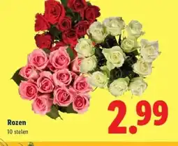 Lidl Rozen aanbieding