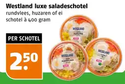 Poiesz Westland luxe saladeschotel aanbieding