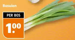Poiesz Bosuien aanbieding