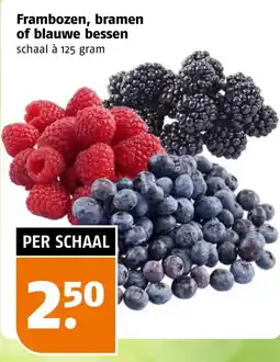 Poiesz Frambozen, bramen of blauwe bessen aanbieding