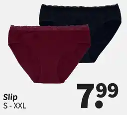 Wibra Slip aanbieding