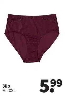 Wibra Slip aanbieding