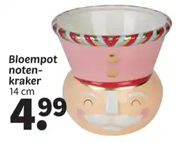 Wibra Bloempot notenkraker aanbieding