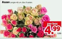 Dekamarkt Rozen aanbieding