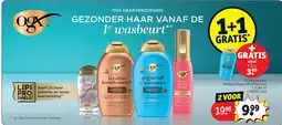 Kruidvat OGX haarverzorging aanbieding