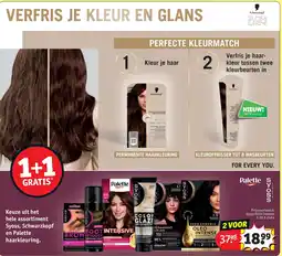 Kruidvat Haarkleuring aanbieding