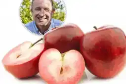 Ekoplaza RED LOVE APPELS aanbieding