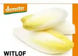 Ekoplaza WITLOF aanbieding