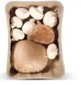 Ekoplaza Puur NL PADDEN- STOELENMIX aanbieding