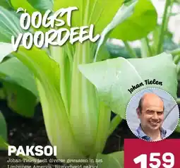 Ekoplaza PAKSOI aanbieding