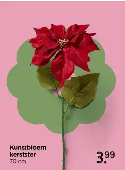 Xenos Kunstbloem kerstster aanbieding
