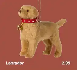 Xenos Labrador aanbieding