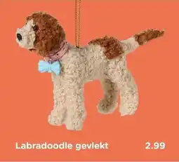 Xenos Labradoodle gevlekt aanbieding
