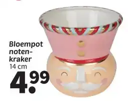Wibra Bloempot noten- kraker aanbieding