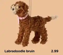 Xenos Labradoodle bruin aanbieding