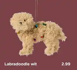 Xenos Labradoodle wit aanbieding