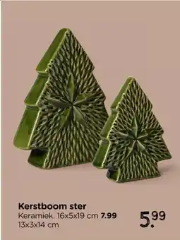 Xenos Kerstboom ster aanbieding