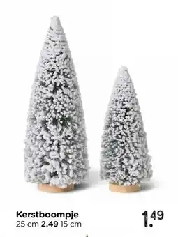 Xenos Kerstboompje aanbieding