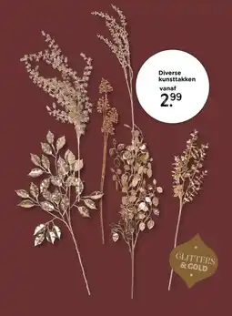 Xenos Diverse kunsttakken aanbieding