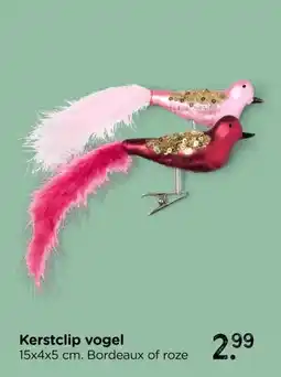 Xenos Kerstclip vogel aanbieding