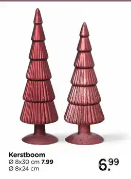 Xenos Kerstboom aanbieding