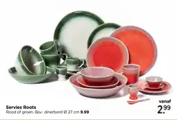 Xenos Servies Roots aanbieding