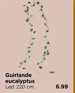 Xenos Guirlande eucalyptus aanbieding