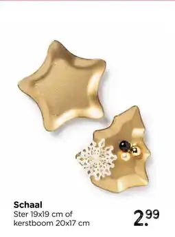 Xenos Schaal aanbieding