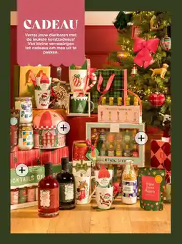 Xenos CADEAU aanbieding