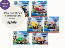 Prenatal Paw Patrol Pup Squad Racers Assorti aanbieding