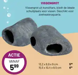 Pets & Co VISSENGROT aanbieding