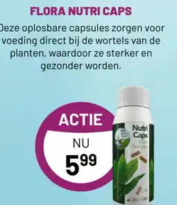 Pets & Co FLORA NUTRI CAPS aanbieding