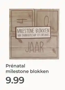 Prenatal Prénatal milestone blokken aanbieding