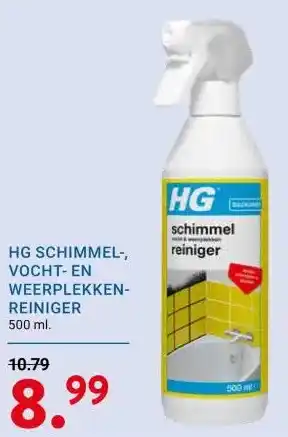 Hg schimmel vocht en weerplekken reiniger