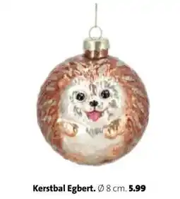 Intratuin Kerstbal Egbert aanbieding