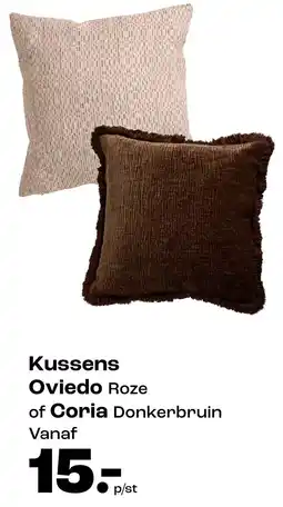 Kwantum Kussens Oviedo Coria aanbieding
