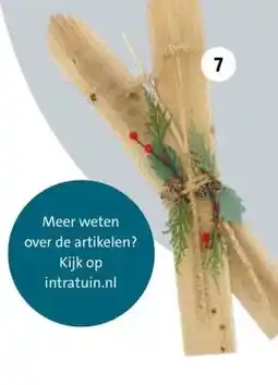 Intratuin Hanger ski's aanbieding