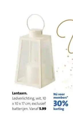 Intratuin Lantaarn. aanbieding