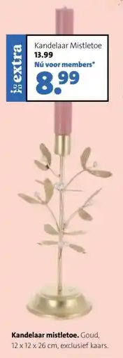 Intratuin Kandelaar mistletoe aanbieding