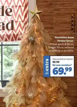 Intratuin Decoratieve boom Pampas Spruce. aanbieding