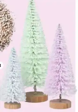 Intratuin Borstelboom aanbieding