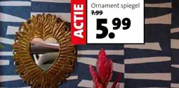 Intratuin Ornament spiegel. aanbieding