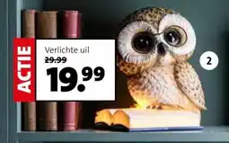 Intratuin Verlichte uil. aanbieding