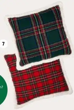 Intratuin Kussen Jack. aanbieding