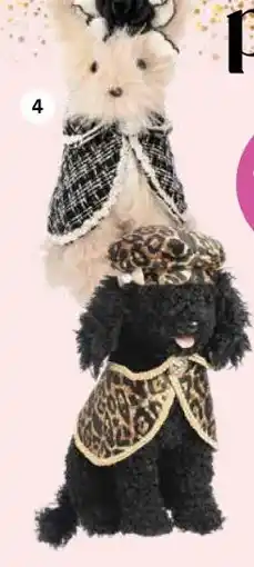 Intratuin Hond aanbieding