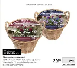 Karwei Kant & klaar bloembollen aanbieding
