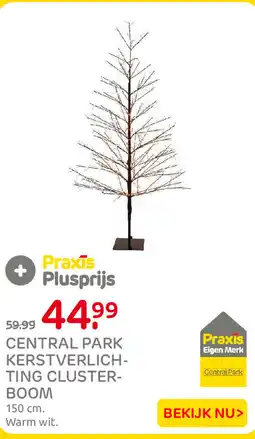Praxis Central Park kerstverlichting clusterboom aanbieding
