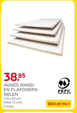 Praxis Agnes wand en plafondpanelen aanbieding